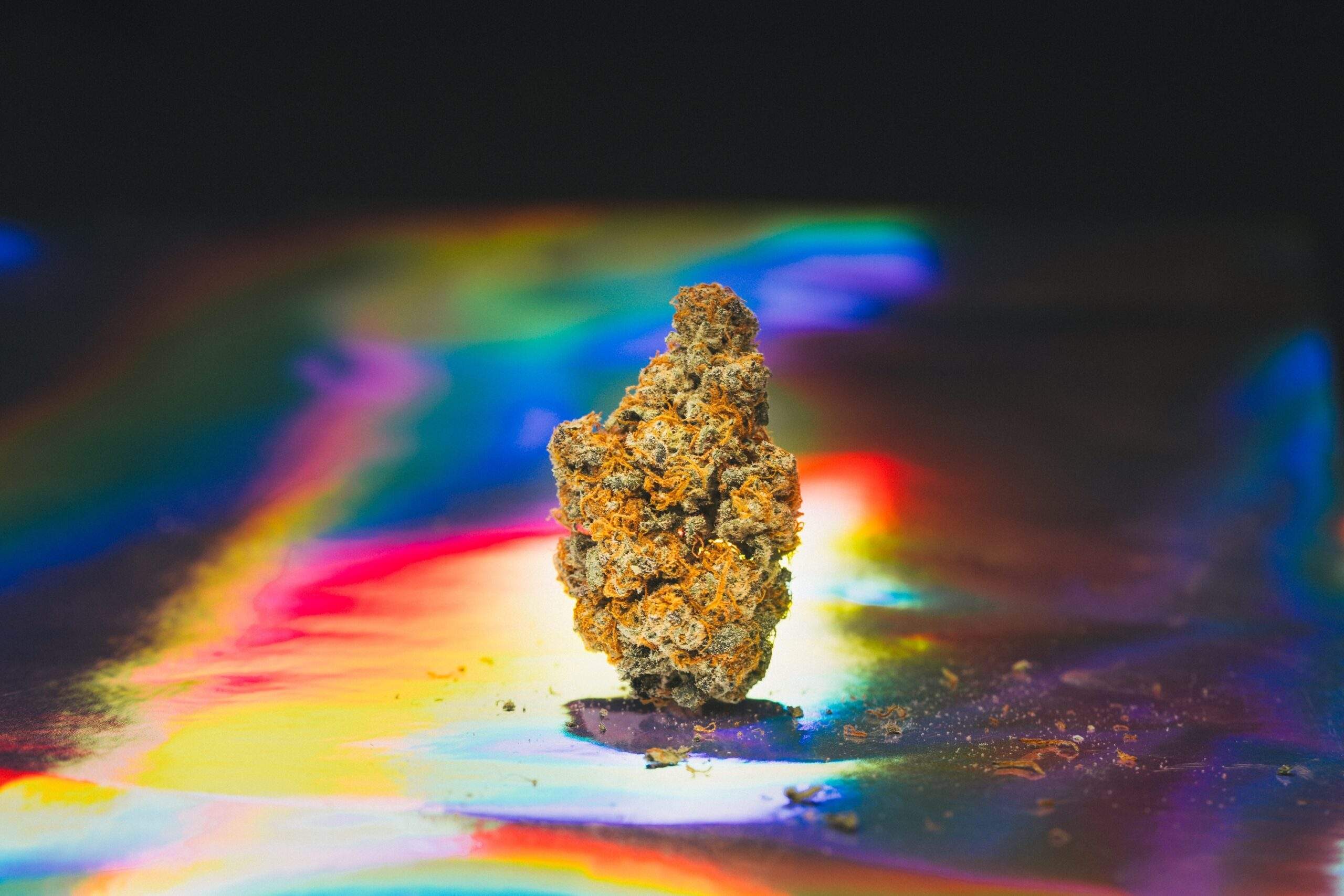 Barbee Hauzinger (1)