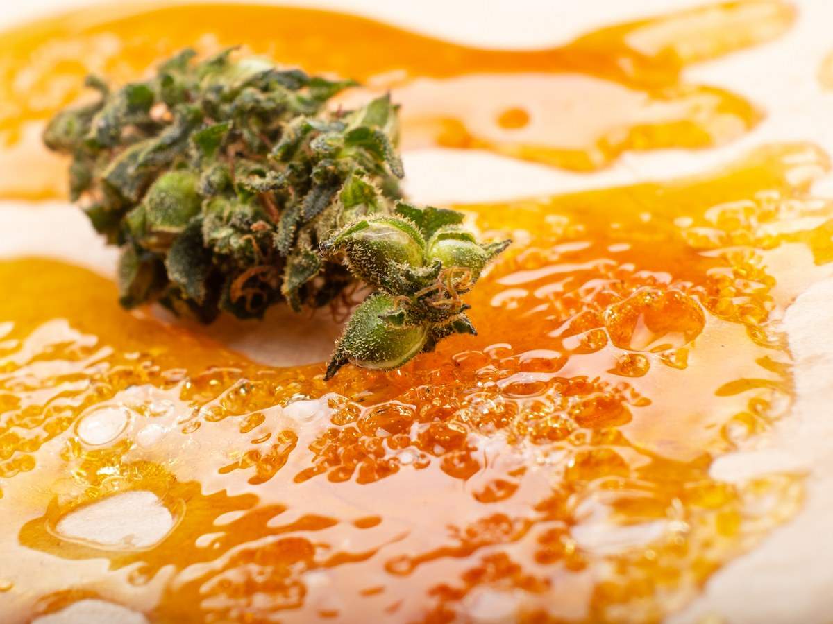 Cannabis Concentrates