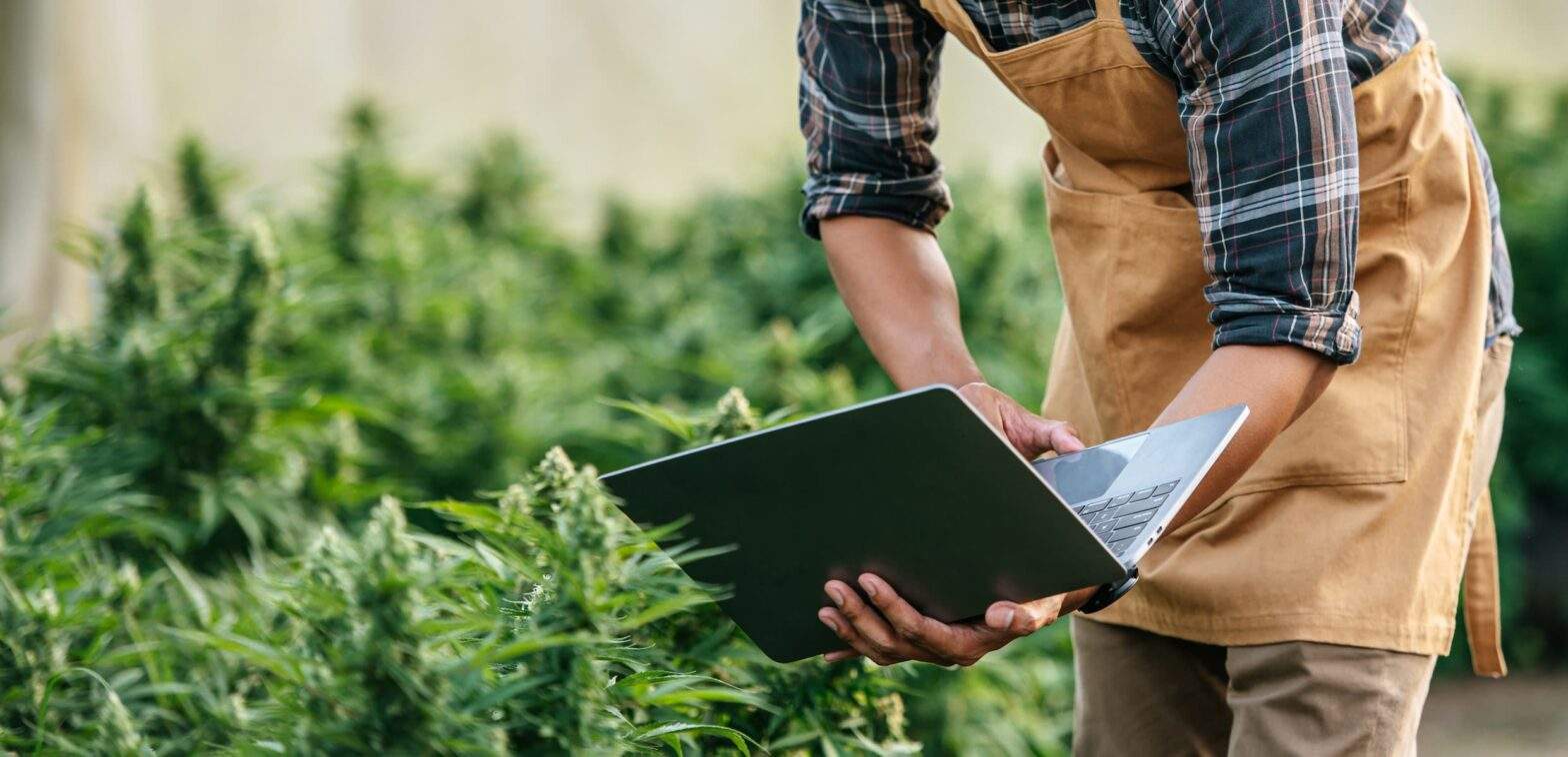 Looking for the right cannabis dispensary in Portland? From product selection and pricing to staff knowledge